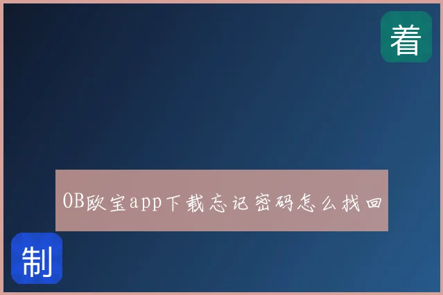 OB欧宝app下载忘记密码怎么找回