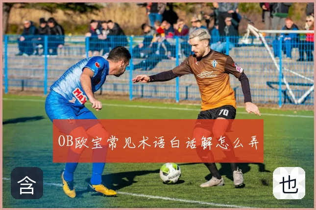OB欧宝常见术语白话解怎么弄